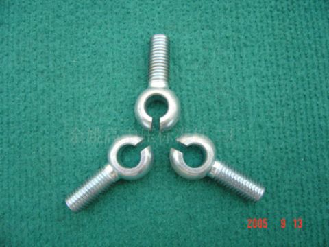 Din444 Eyebolts 20100312-006